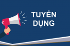 Công ty VMS liên tục tuyển dụng các chức danh